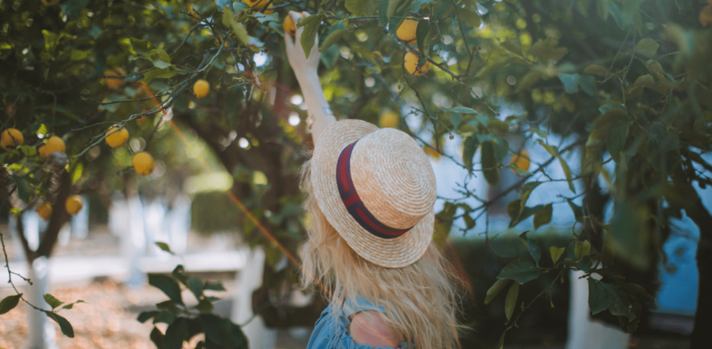 C-vitamiin, oluline toidulisand kehale